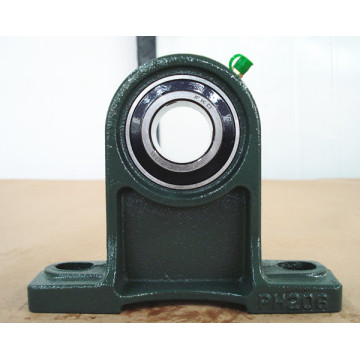 Normal Duty Pillow Block Lager Ucph 200 Serie